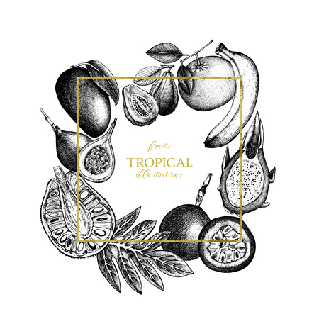 Vector card design with hand drawn tropical fruitsのイラスト素材