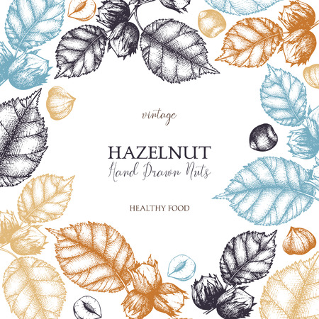 Vintage design with hand drawn hazelnut. Vector nut sketch. Organic food template on white background.のイラスト素材