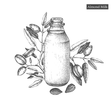 Healthy food template. Hand drawn illustrations of almonds and bottle of almond milk. Branding or packaging vector design.のイラスト素材
