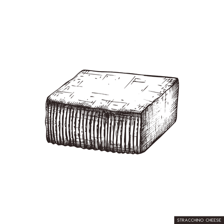 Vector Stracchino sketches. Hand drawn Italian cows milk cheese illustration. Vintage traditional food drawing on white background.のイラスト素材
