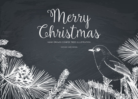 Vintage design for greeting card or invitation for christmas celebration. Vector frame with hand drawn conifers: pine, spruce, cedar, cypress, fir, larch, juniper.のイラスト素材