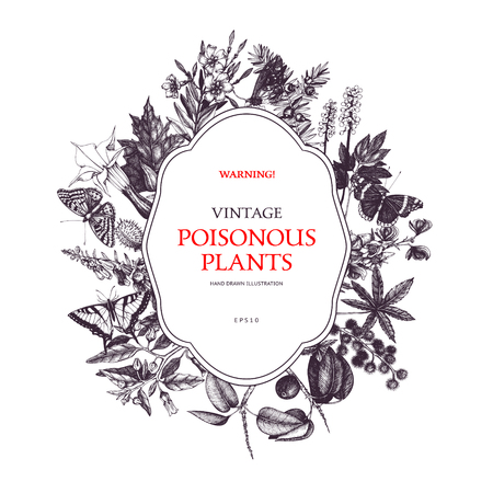 Vector design with hand drawn poisonous plants. Botanical illustration. Vintage noxious plants sketch background. Dangerous flowers retro template isolated on white.のイラスト素材