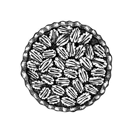 Hand sketched pecan pie illustration. Traditional cake for Thanksgiving dinner in vintage style. Baking pie with pecan nuts sketch. Top view hand drawing.のイラスト素材