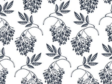 Hand-drawn elderberry vector background in engraved style. Wild berries seamless pattern. Hand...