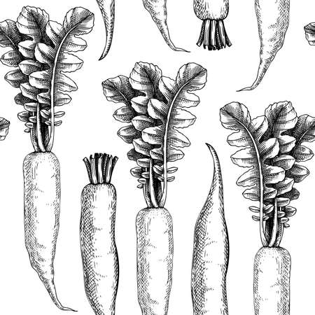 Fresh daikon radish seamless pattern. garden vegetable background. Root vegetable backdrop hand-sketched daikon plants. Vector illustration of raw cultivated radish.のイラスト素材
