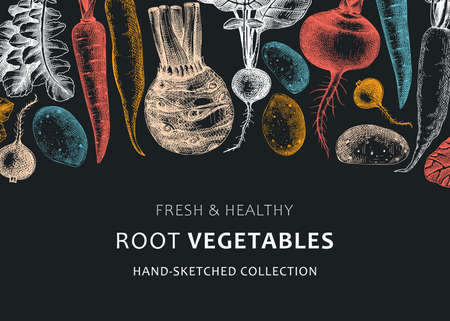 fresh root vegetable background. Root plants sketches design. Garden vegetable vector banner. Hand-sketched beet, radish, daikon, celery, turnip illustration. For menu, recipe, packaging, marketsのイラスト素材