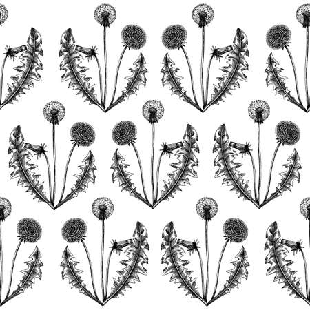 Dandelion seamless pattern. Hand-sketched medicinal herb background. Perfect for brands, label, packaging, wrapping. Botanical illustrations. Dandelion backdropのイラスト素材
