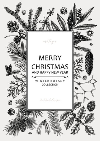 Merry christmas card. Square frame with evergreen plants, conifers, and nuts drawing. Winter design with hand-drawn botanical illustrations. Christmas background, New Year invitation templateのイラスト素材