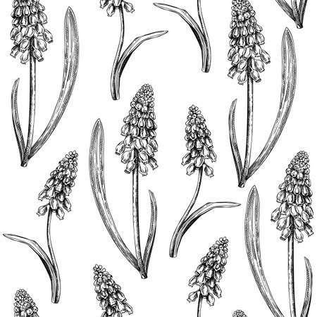 Hand-drawn grape hyacinth background design. Vintage woodland flowers sketches. Seamless spring pattern. Forest plant and wild flowers illustration for print. Vintage muscari decorative backdrop.のイラスト素材
