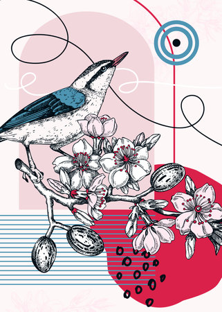 Collage style nuthatch vector illustration. Hand drawn bird on blooming almond branch with flowers, nuts and leaves. Trendy design with botanical, geometric shapes, and abstract elements.のイラスト素材