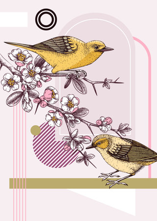Collage style spring card design. Two yellow warbler on blooming Japanese quince branches vector sketch. Hand drawn songbirds and flowers illustration, geometric shapes, trendy design elementsのイラスト素材