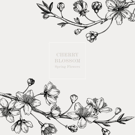 Cherry blossom card or invitation design. Flowering branch with flowers and leaves illustration. Black contoured sakura drawing. Botanical vector template with spring tree isolated on retro backgroundのイラスト素材