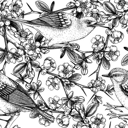 Vector spring background in engraved style. Yellow warbler sitting on blooming Japanese quince branch sketches. Songbird with beautiful flowers seamless pattern design for prints or textilesのイラスト素材