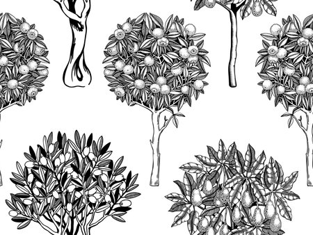 Sketched trees seamless pattern. Decorative plants with fruits, leaves and branches in engraving style. Hand-drawn yuzu, avocado and olive background. Botanical design for printsのイラスト素材