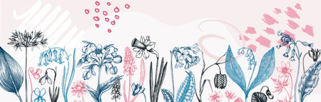Horizontal trendy banner with wildflowers sketches. Floral backdrop in collage style. Delicate contoured blooming flowers border with abstract elements. spring woodland botanical backgroundのイラスト素材