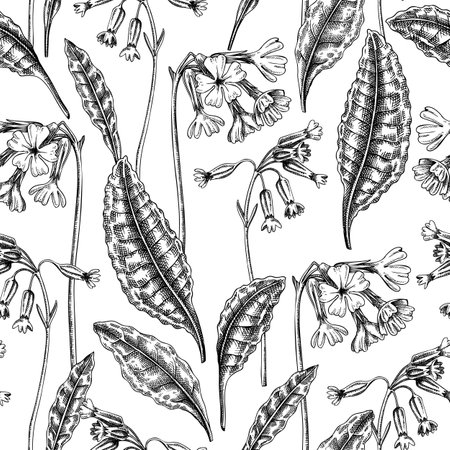 Hand-drawn cowslip and oxlip background design. Vintage woodland flowers sketches. Seamless spring pattern. Forest plant and wild flowers illustration for print. Vintage primrose decorative backdrop.のイラスト素材