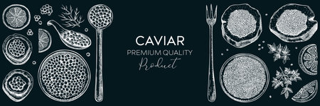 Seafood background design with red caviar canape, canned black caviar, lemons and spices on chalkboard. Sea delicacy illustrations set for restaurant or finger food menuのイラスト素材