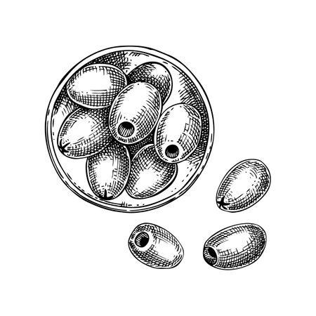 Vector composition with olives in glass bowl. Hand drawn olive fruit illustration in engraved style. Healthy food ingredients sketches isolated on white background. For packaging or print designのイラスト素材