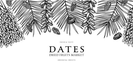 Hand drawn border design with date palm leaves and ripe fruit illustrations. Healthy food ingredients sketches isolated on chalkboard. Oriental sweet vector background. vintage dates dried backgroundのイラスト素材