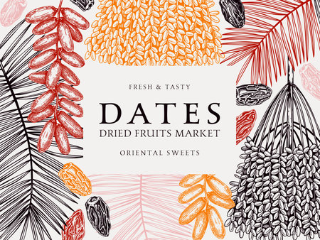 Hand drawn frame design with date palm leaves and dried fruits sketches in engraved style. Sketched vegan food ingredients vector background. Oriental sweets - dried dates banner template in colorのイラスト素材