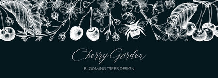 Spring background on chalkboard. Cherry blossom tree border in sketch style. Vector banner with hand drawn cherry berries, leaves, flowering branches illustrations. Vintage Sakura banner designのイラスト素材
