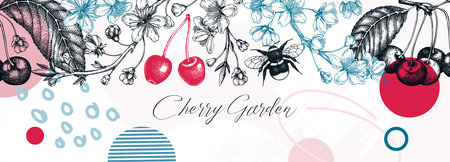 Collage-style spring background. Cherry blossom tree border in sketch style. Vector banner with hand drawn cherry berries, leaves, flowering branches illustrations. Vintage Sakura banner designのイラスト素材
