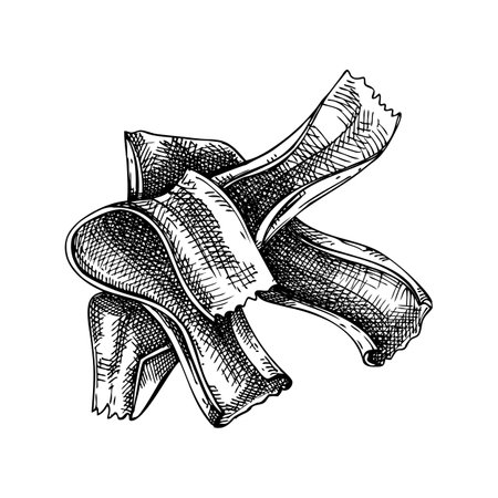 Dried Kombu algae - edible seaweed drawing isolated on white background. Sea kelp vector food illustration. Japanese cuisine plant-based ingredient, healthy food design element in engraved styleのイラスト素材