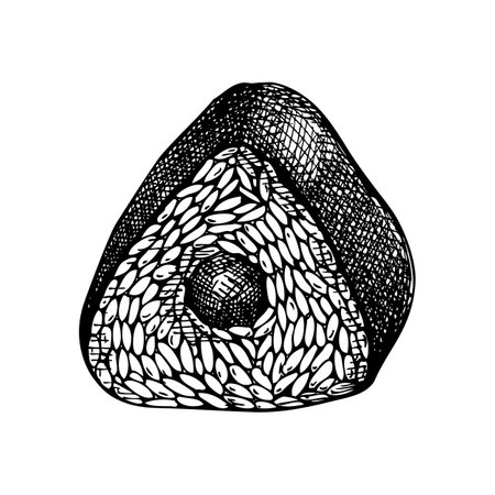 Hand-drawn onigiri sketch. Japanese rice ball drawing in engraved style. Japanese food illustration isolated on white background. Rice ball wrapped with dried nori. Edible seaweed recipeのイラスト素材
