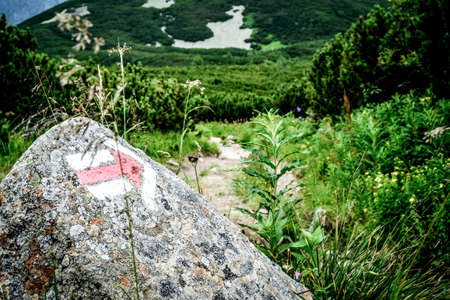 the path to the green tarnの写真素材