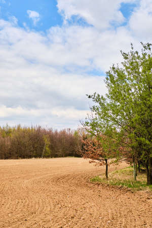 Lines on prown brown field by trees and forest cloudy day in spring at the edge of Pragueの写真素材
