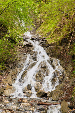 Cascade in forest at the edge on Dorfgasteinの写真素材