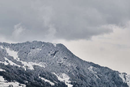 Snowy mountain covered by trees by Gastein valley in spring on cloudy dayの写真素材