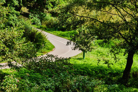 Bicycle asphalt way in forest by Zboreny Kostelec near Tynec nad Sazavouの写真素材