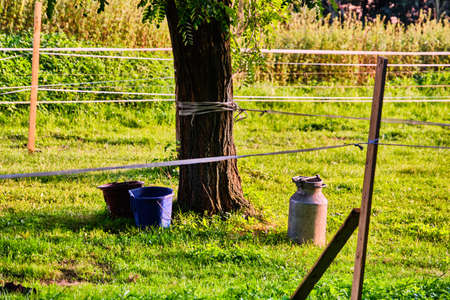 Tree with buckets and metal milk container surrounded by fence at the edge of Pragueの写真素材