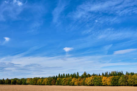 Brown plowed field by forest with yellow colored trees under blue sky with clouds at the edge of Prague in autumnの写真素材