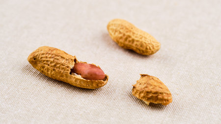 Tasty peanuts and crackled shall on cloth