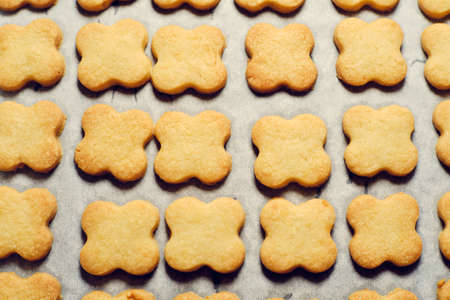 Tasty czech baked christmas cookies on baking paperの写真素材