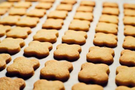 Tasty czech baked christmas cookies on baking paper