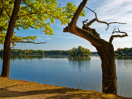 Peaceful pond Opatovicky rybnik in town Trebon in south Bohemiaの写真素材