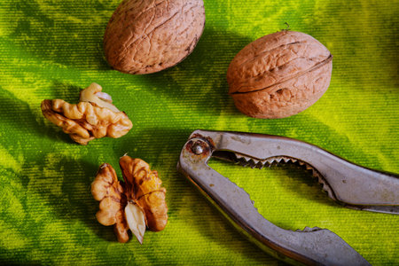 Tasty walnuts and nutcracker on green backgroundの写真素材