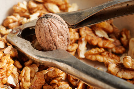 Tasty walnuts and nutcracker close up detail