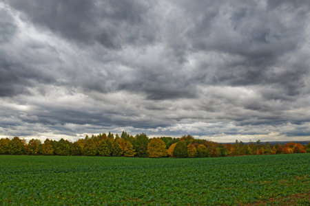 Cloudy autumn day in Central Bohemia view on field, trees and cloudsの写真素材
