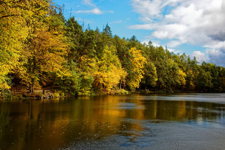 Pond Jurecek near forest in Ricany near Prague in Autumnの写真素材