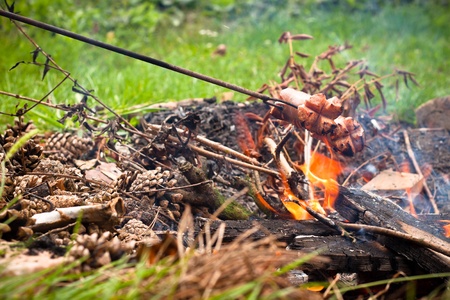 Roasting sausages on campfire in the garden.の写真素材