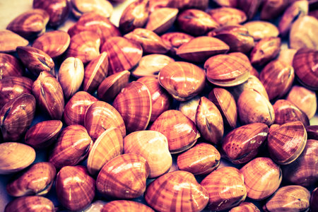Colorful toned photo of shellfish.