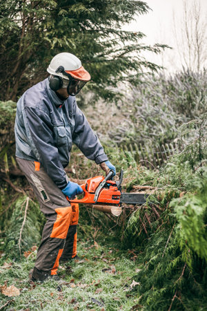 Professional gardener cutting tree with chainsaw.