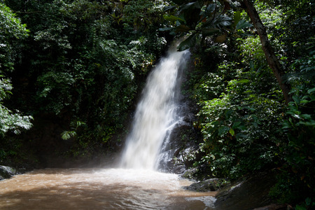 Waterfall and green rainforest in Langkawi, Malaysia.の写真素材