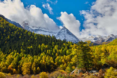 Autumn season in Daocheng Yading Scenic Areaの写真素材