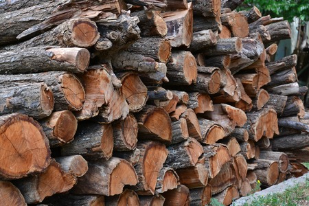 Abstract photo of a pile of natural wooden logs background, top viewの写真素材
