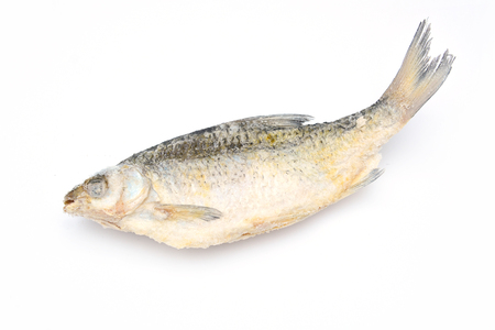 one dried fish on a white backgroundの写真素材